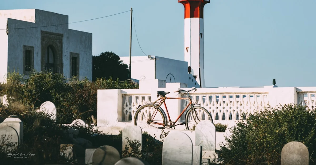 Oasis de Douz avec palmiers et dunes de sable